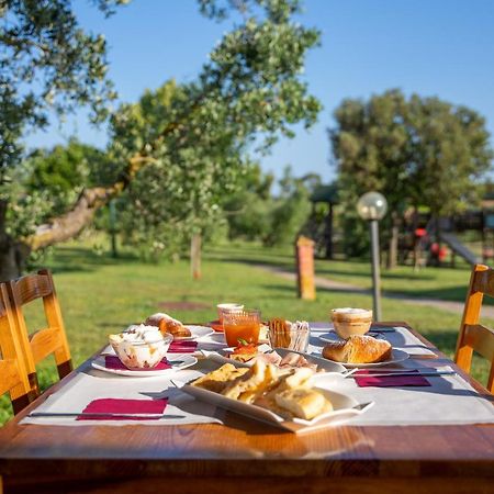 فندق Glamping Gli Etruschi بيومبينوا المظهر الخارجي الصورة