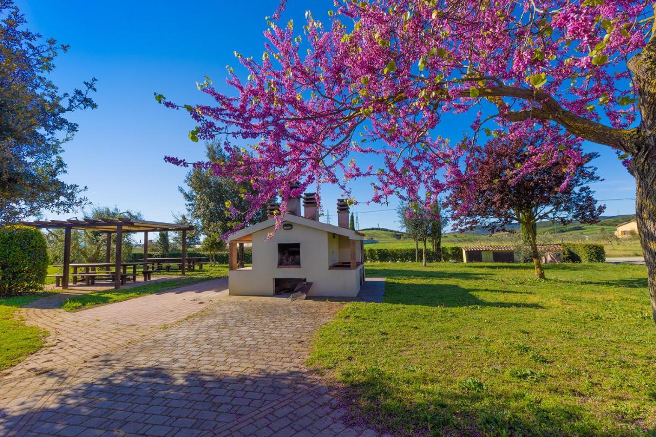 فندق Glamping Gli Etruschi بيومبينوا المظهر الخارجي الصورة